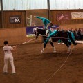 DSC045752.jpg