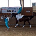 DSC05005.JPG