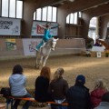 IMG-20170429-WA0137.jpg
