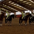 IMG_6257_DxO.jpg