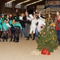 IMG_6268_DxO.jpg