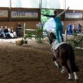 DSC044402.jpg