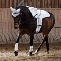 IMG_4039_DxO-hp.jpg