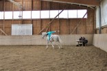 IMG_5295 (800x534).jpg