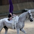 IMG_7967.JPG