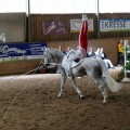 DSC043612.jpg