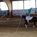 DSC05028.JPG