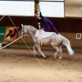 DSC06819-hp.jpg