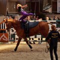 IMG-20170501-WA0020.jpg