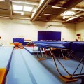 IMG_0184hp.jpg
