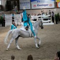 IMG_9001-hp.jpg