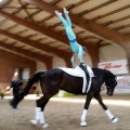 20170430_124500.jpg