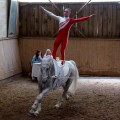 DSC043162.jpg