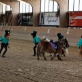 IMG_6212_DxO.jpg