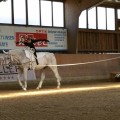 20170430_140710.jpg