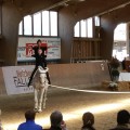 20170430_152523.jpg