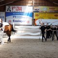IMG_4043_DxO-hp.jpg