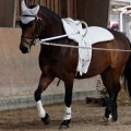 IMG_4048_DxO-hp.jpg