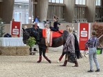 IMG_9757.jpeg