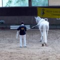 P1040354 - Kopie2.jpg