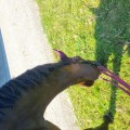 20250807_100941.jpg