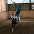DSC045372.jpg