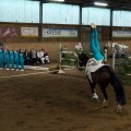 DSC045772.jpg