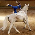DSC06774-hp.jpg