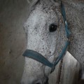 IMG-20170429-WA0181.jpg