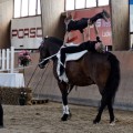 IMG_4132_DxO-hp.jpg