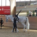 P1250990.JPG