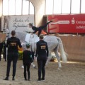 P1260009.JPG