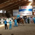 20170430_160210.jpg