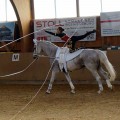 DSC05230.JPG