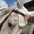 IMG-20170501-WA0023.jpg