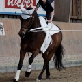 IMG_4068_DxO-hp.jpg