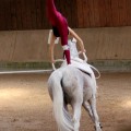IMG_8045.JPG