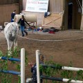 DSC042482.jpg