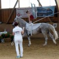 DSC05209.JPG