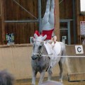 DSC05310.JPG