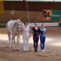 DSC06754-hp.jpg