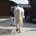 IMG-20170430-WA0004.jpg