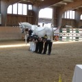 P1260200.JPG