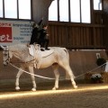 20170430_140604.jpg