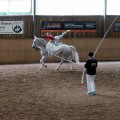DSC042822.jpg