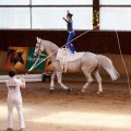 DSC06780-hp.jpg