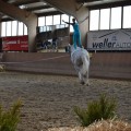 IMG-20170430-WA0089.jpg