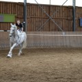 IMG-20170430-WA0127.jpg
