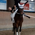 IMG_4164_DxO-hp.jpg