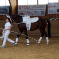 DSC05056.JPG